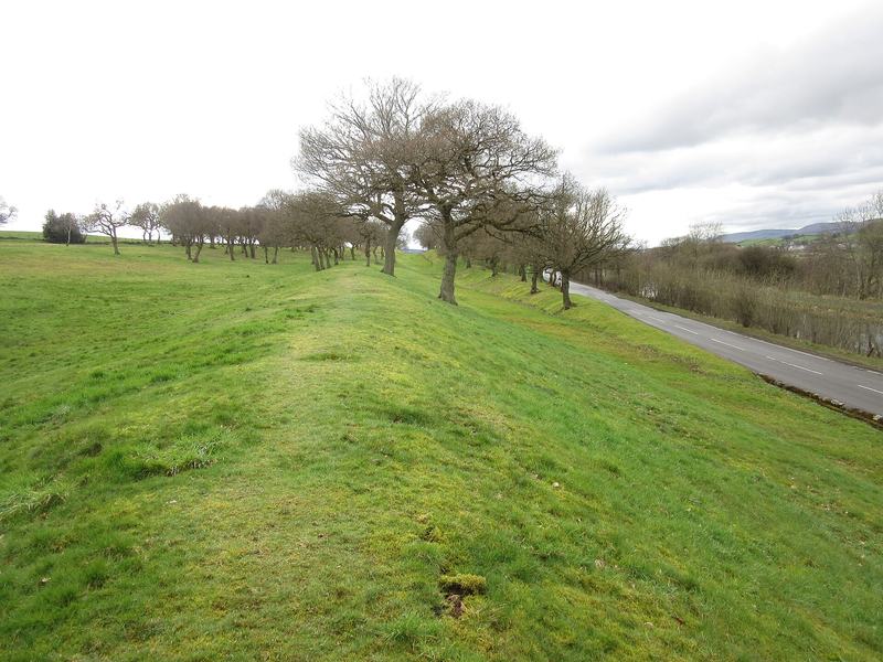Antonine Wall, Seabegs Wood - geograph.org.uk - 5332363