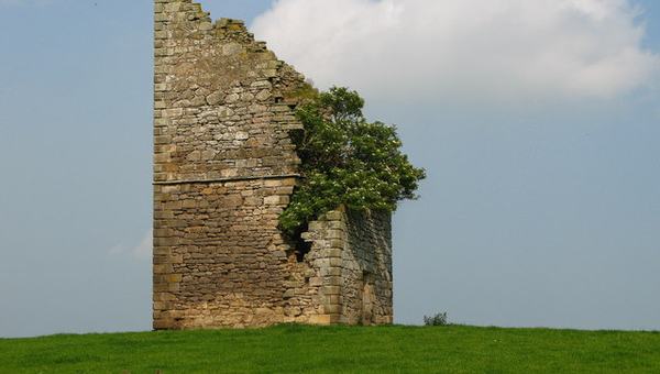 Bannockburn House Dig (June)