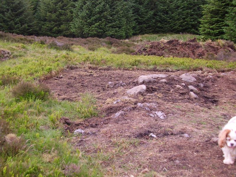 Roundhouse site wider landscape view