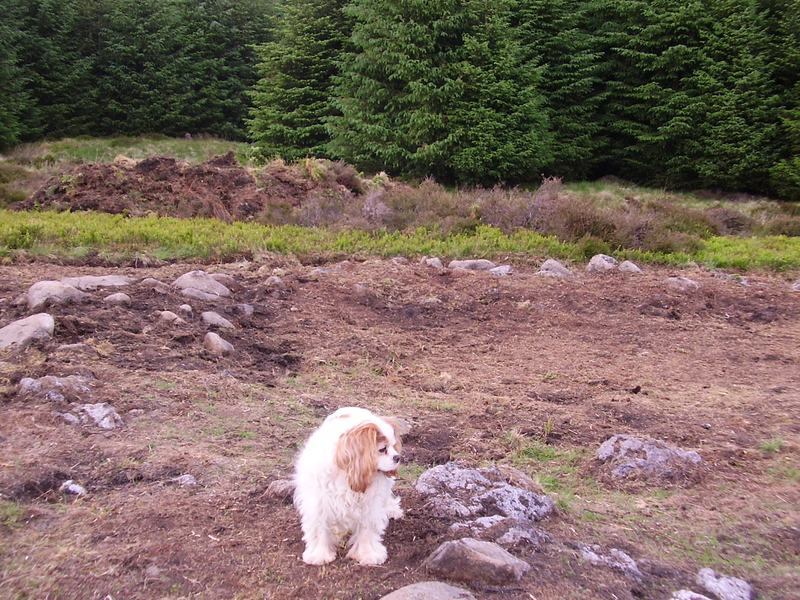 Roundhouse interior looking towards entrance