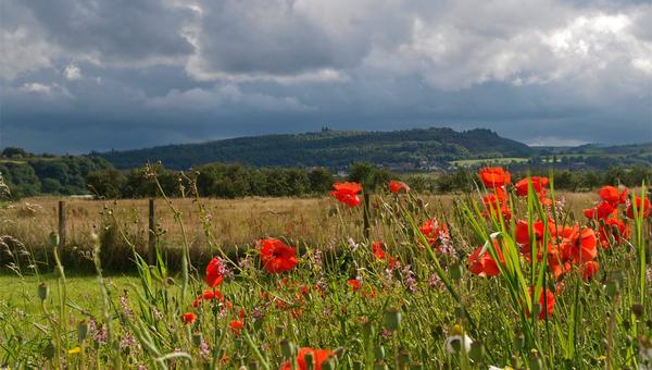 Gillies Hill Early Bronze Age / Iron Age Fort