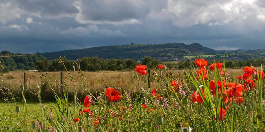 Gillies Hill Early Bronze Age / Iron Age Fort