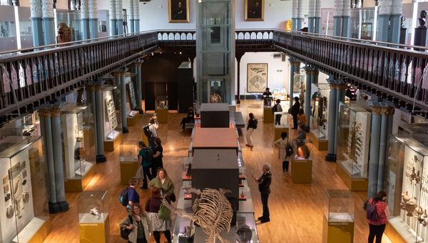 Hunterian Museum, Glasgow