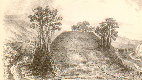 Proceedings of the Society, Volume XII, 1955