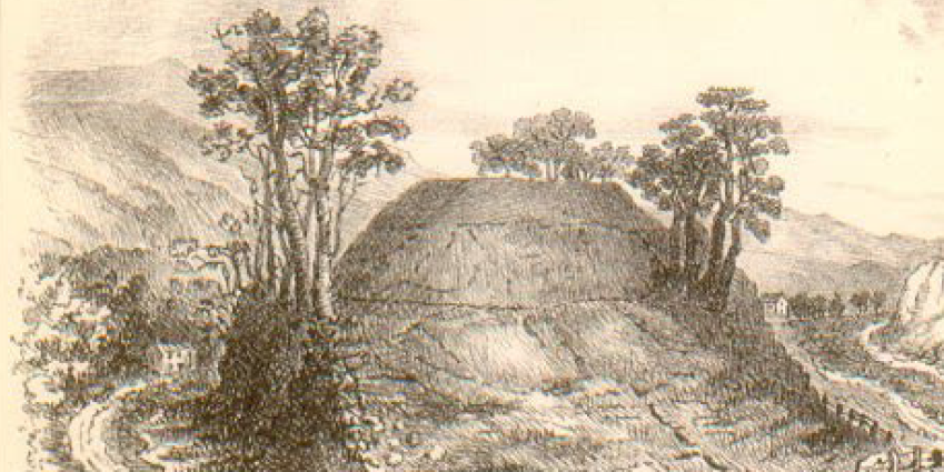 Proceedings of the Society, Volume XII, 1955