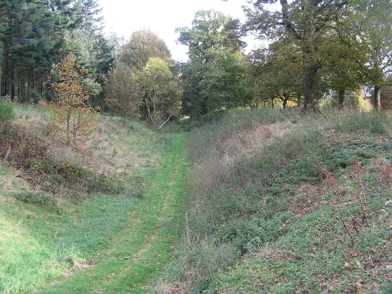 Rampart and ditch of the Antonine Wall - geograph.org.uk - 3199152
