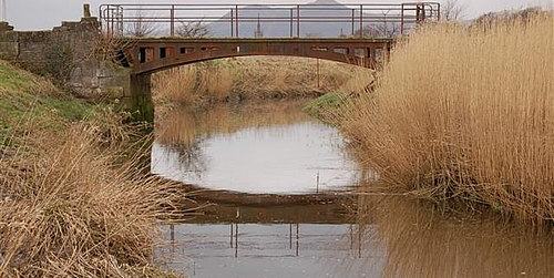 Black Devon Nature Reserve
