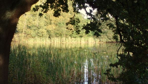 The Hermitage, Stirling University