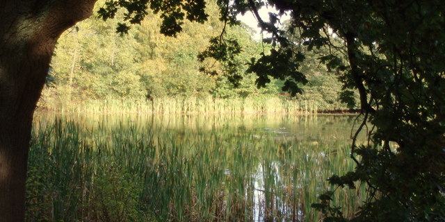 The Hermitage, Stirling University