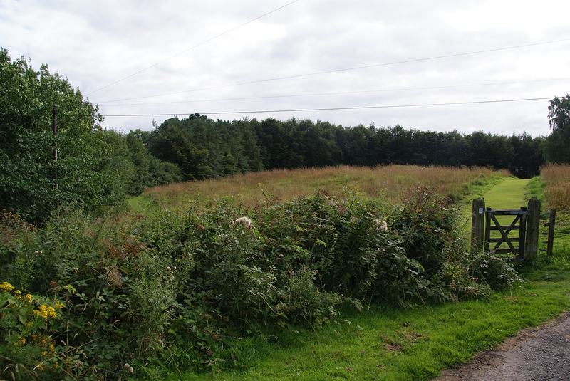 The site of the Roman fort, Doune - geograph.org.uk - 3609851