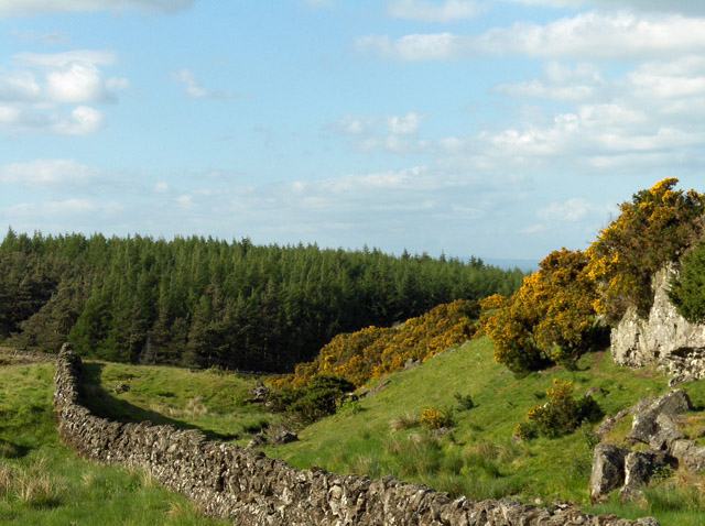 Touch Hills - geograph.org.uk - 184839