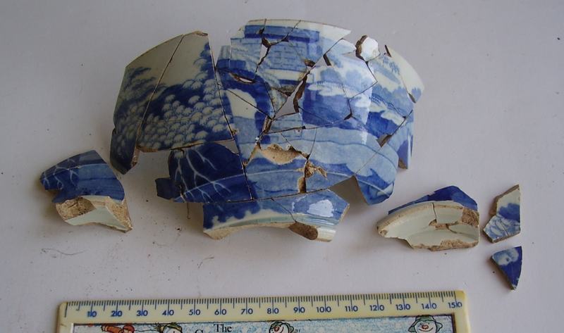 Blue-and-white transferware bowl