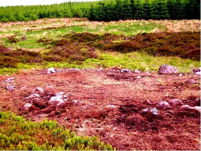 SFAS Fieldwork Highlights