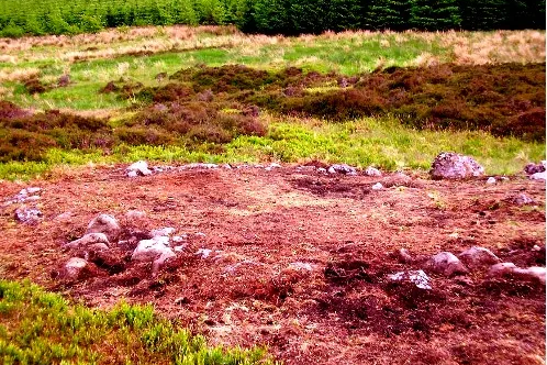 A stone circle on the moorland above the forest line, its low stones half-hidden among the heather. Sites like these are reminders of a ritual landscape stretching back thousands of years.